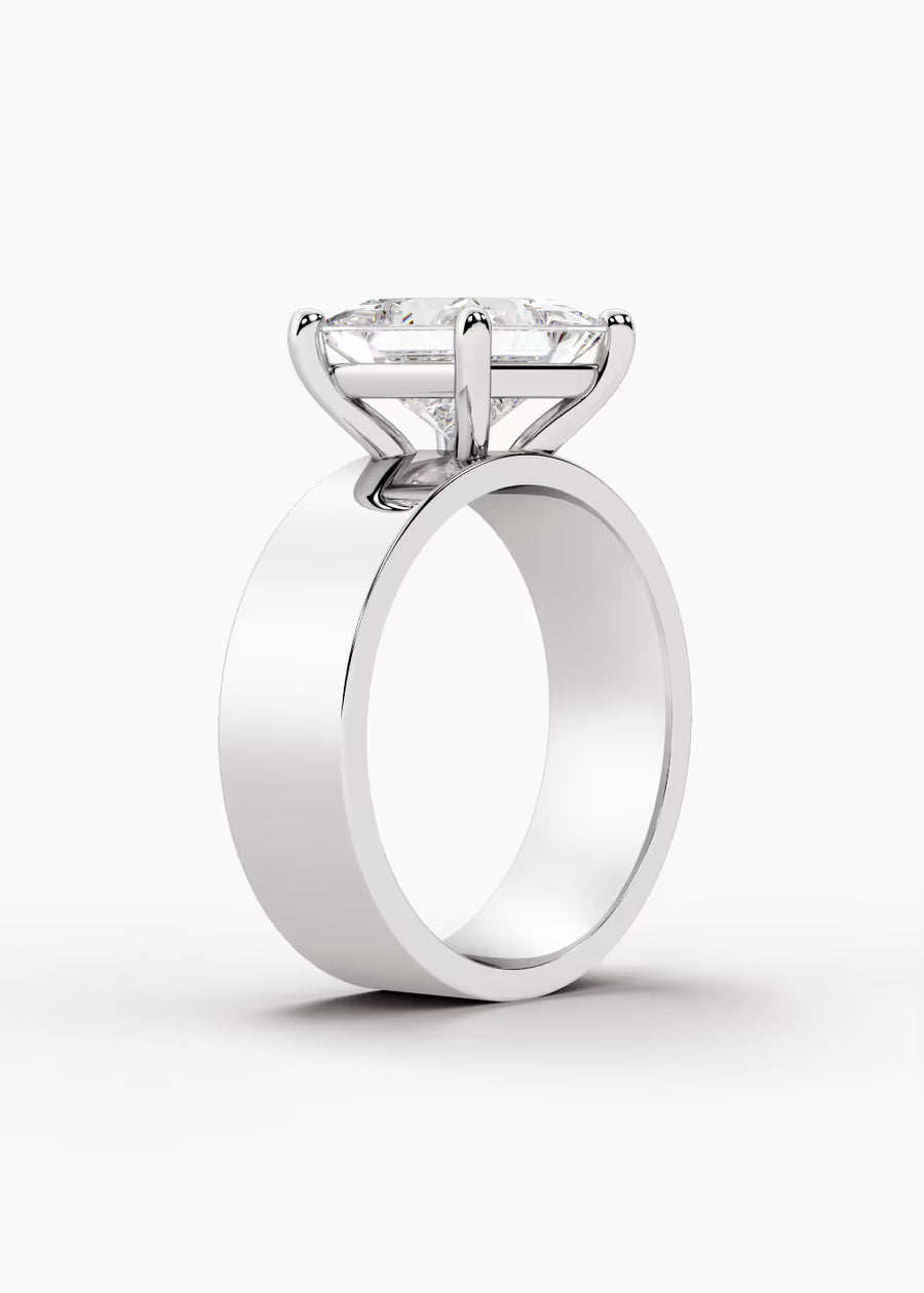 WG: The Foundry · Princess — white gold view 2